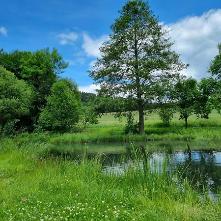 Chaty Velké Losiny Villa Velké Losiny