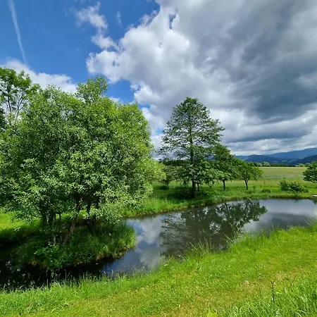 Chaty Velke Losiny 别墅 Velké Losiny