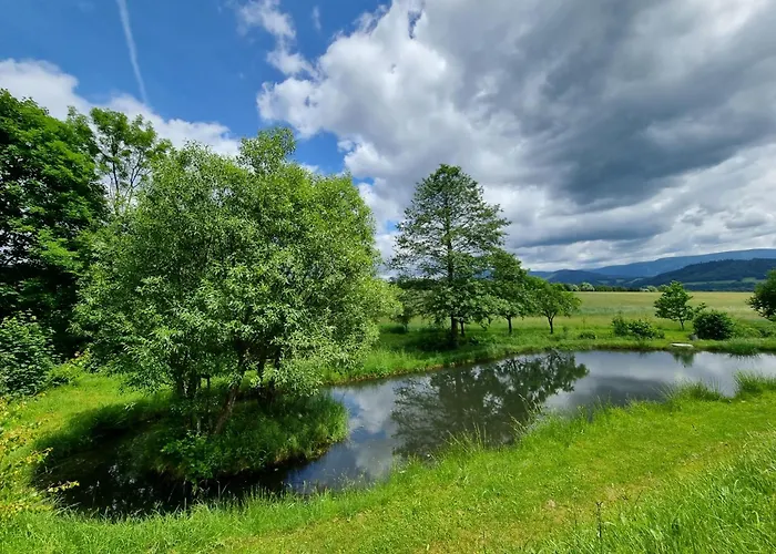 Chaty Velke Losiny Вилла Велке Лосины